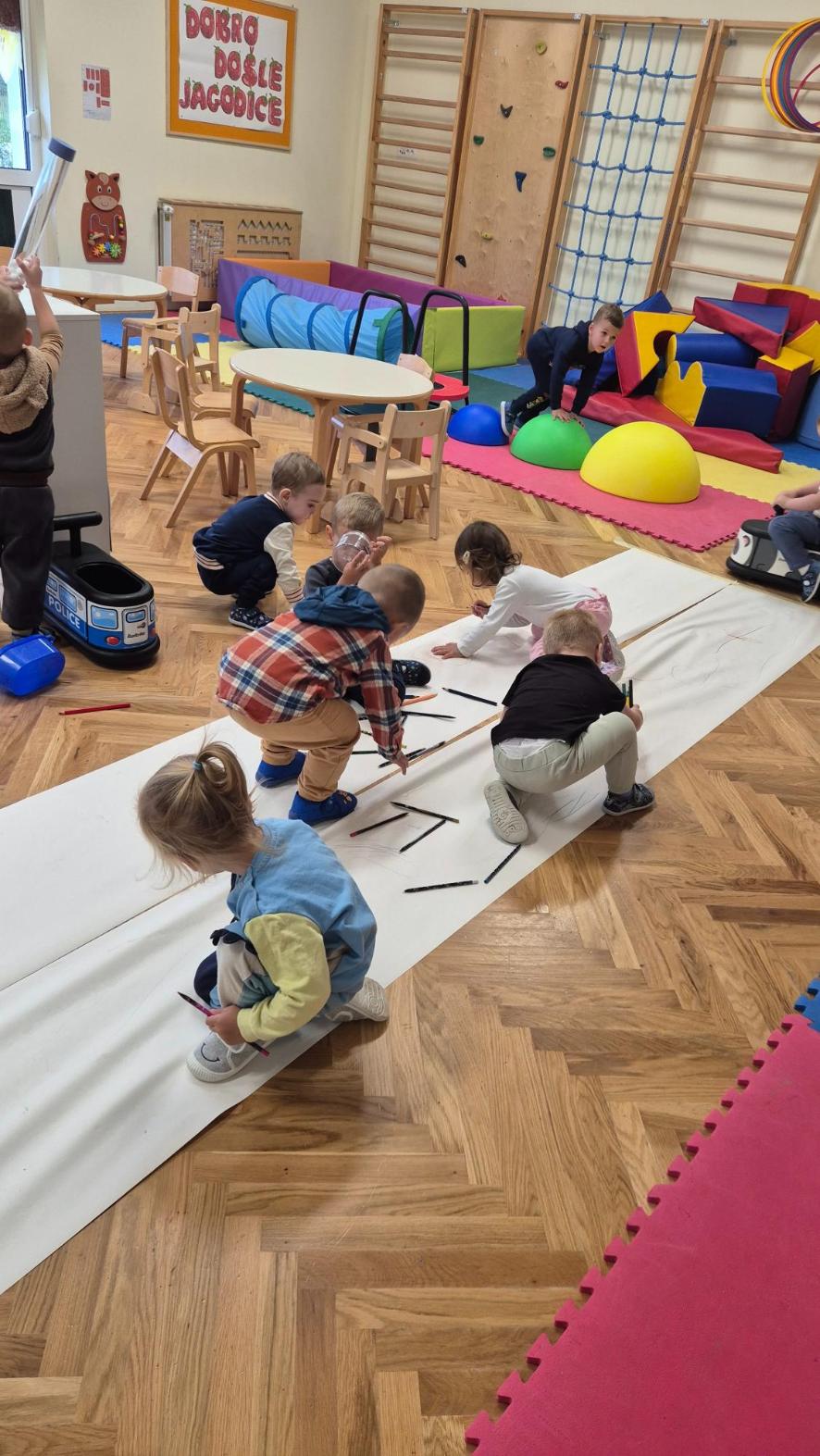JAGODICE U PROJEKTU